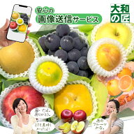 【即日発送可能★】【ブドウ入り★】 敬老の日 画像送信サービス ★ 厳選果物屋 フルーツギフト5500 送料…
