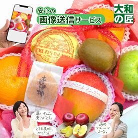 5/15から値上げ【アップルマンゴー入り★】 画像送信サービス ★ 厳選果物屋 フルーツギフト5500 送料無料 グルメ 果物 フルーツ 詰め合わせ 盛り合わせ 内祝 誕生日 御見舞 お見舞い プレゼント ギフト 手土産 贈り物 贈答用 お返し 母の日 母 義母