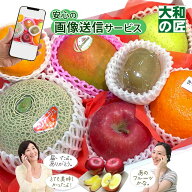 【メロンをグレードアップ可能★】画像送信サービスが大好評★ 厳選果物屋 フルーツギフト8000 グルメ 果…