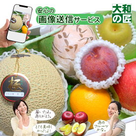 【順次発送可能★】 画像送信サービスが大好評★ 厳選果物屋 フルーツギフト8800 グルメ 果物 フルーツ 詰め合わせ 盛り合わせ 内祝 誕生日 御見舞 お見舞い サプライズ プレゼント ギフト 手土産 贈り物 贈答用 お返し お供え 御供 御霊前 御仏前 法要 法事 お歳暮 御歳暮