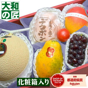 ݐp t[cMtg  摜MT[rXD] ފ Iʕ t[cMtg20000-O FG20000-O O ʕ t[c lߍ킹 荇킹 Mtg  䋟 