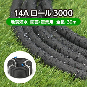 | ƒ؉ 󐅃z[X[^Cv 14A[3000 S30m(  ܂   U z[X `[u U _  | _Ɨp K[fjO ȒP ߐ c)[J[