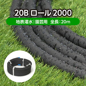 | ƒ؉ 󐅃z[X[^Cv 20B[2000 S20m(  ܂   U z[X `[u U _  | _Ɨp K[fjO ȒP ߐ c)[J[