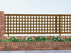 `X@tFX@iq@ؖڒ@X^_[htFX@1^@T100@{̂̂݁@YKK AP@A~