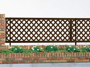 A~ tFX@iq@ؖڒ@X^_[htFX@2^@T100@{̂̂݁@YKK AP