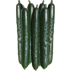 ���イ��E�����炸 �� �^�l �y��a�_�������X�z