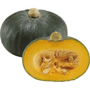 ���ڂ���E�����܂� �� �^�l �y��a�_�������X�z