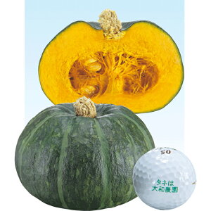 �~�j���ڂ���E�p�����O���[�� �� �^�l �y��a�_�������X�z