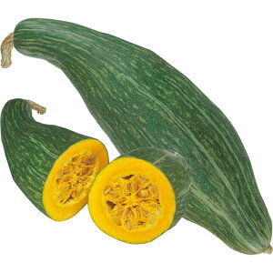 �咷���ڂ���E���|���Y �� �^�l �y��a�_�������X�z