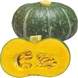 ���ڂ���E���� �� �^�l �y��a�_�������X�z