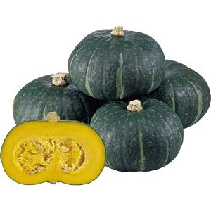 ���ڂ���E���݂܂� �� �^�l �y��a�_�������X�z