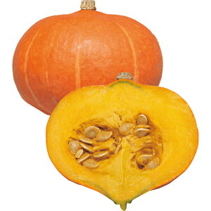 ���ڂ���E�����܂� �� �^�l �y��a�_�������X�z