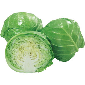 ���Ă���L���x�c �� �^�l �y��a�_�������X�z