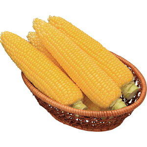 �Ƃ����낱���E�Â͂�� �� �^�l �y��a�_�������X�z