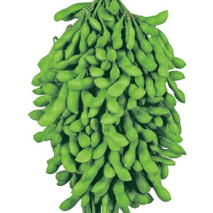 �}���E���L���X�� �� �^�l �y��a�_�������X�z