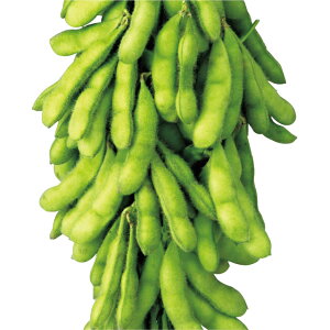 �}���E������ �� �^�l �y��a�_�������X�z