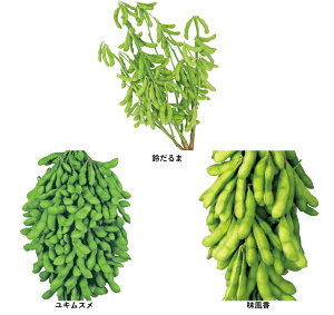 �}���E�����y���ރZ�b�g �� �^�l �y��a�_�������X�z