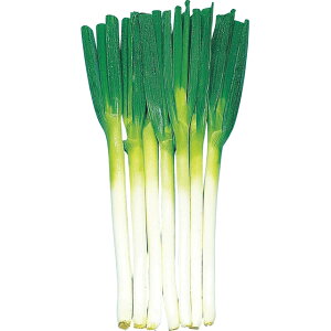 �l�M�E�Αq���[ �� �^�l �y��a�_�������X�z