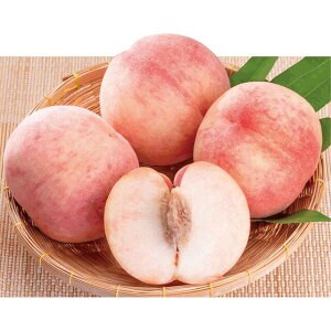 �y���������z�Ђ߂܂邱 �c�� �� �c �|�b�g�c �ږ� 1�N���c �����c �����c �����̕c�� ���̕c�� ���c �ʎ��c �|�b�g�c �K�[�f�j���O�y��a�_�������X�z