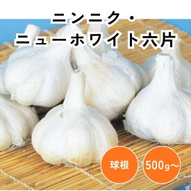 ニューホワイト六片 ニンニク 球根 500g1袋 にんにく 大蒜 ホワイト六片 ニンニク球根 野菜球根 耐寒性 秋植え 地植え 庭植え 鉢植え プランター栽培 家庭菜園 畑作 栽培 【大和農園公式店】
