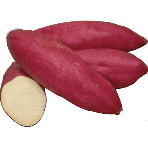 yzTc}CEVNXC[giRji}j@a_