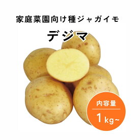 ジャガイモ デジマ 種芋 ジャガイモ じゃがいも タネイモ たねいも 種いも 種イモ たねイモ タネいも 芋苗 家庭菜園 ベランダ菜園 プランター栽培 【大和農園公式店】