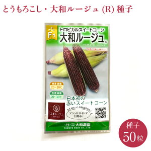 Ƃ낱qEa[W(R) ^l   c  ܂ _  q ƒ؉ K[fjO d R͔| ԐF Â XC[gR[ R[