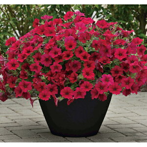 y`jAEEF[u(R)J[}CxA@a_