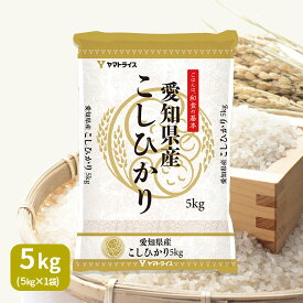 愛知県産 こしひかり5kg 白米 令和7年産お米 米 お中元 お歳暮