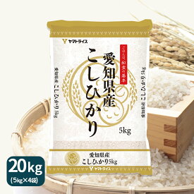 愛知県産 コシヒカリ 20kg (5kg×4袋) 令和7年産 お米 お中元 お歳暮