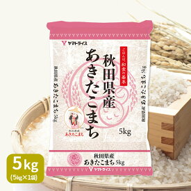 秋田県産 あきたこまち 5kg 白米 令和7年産 ギフト お礼 お祝い 贈答 熨斗
