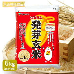 yh{@\Hiz ȒP֗GABA 茺 y1kg×6܁z 1P[X iԂׂĔ[ Y邿 Mtg N 蕨