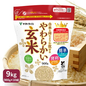 ĂƓ悤ɐ炩āi900g×10܁jxRЂgp ߘa7NYȒP ֗