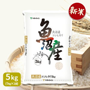 yVāzVYRVqJ 5kg ߘa7NY Mtg j j 蕨 Ε