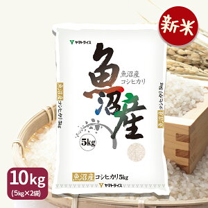 yVāzVYRVqJ10kg(5kg×2) ߘa7NY Mtg j j 蕨 Ε