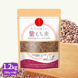 HׂĂق 1.2kg(300g×4) ꌧY_CV` Y