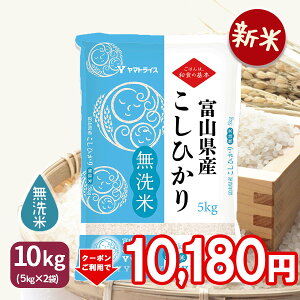 400~OFFN[|zzyVāz xRYRVqJ 10kg(5kg×2) ߘa7NYMtg 蕨  Ε  