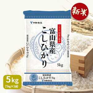 yVāzxRY RVqJ 5kg  ߘa7NYMtg j  Ε  