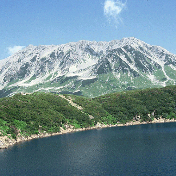楽天市場】富山県産てんたかく 10kg(5kg×2) 令和6年産 米 お米