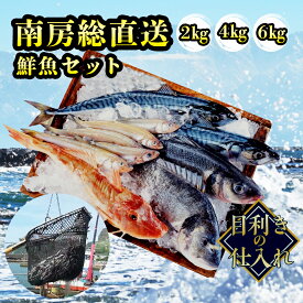 【とれたて鮮魚セット 2～4kg】 鮮魚ボックス 南房総 千葉県 直送 産地直送 魚 鮮魚 アジ タイ ヒラメ 矢柄 イサキ ヒラマサ イシダイ 太刀魚 カマス お取り寄せ 詰め合わせ 刺身 焼き魚 煮物 唐揚げ 鍋 炊き込みご飯 味噌汁 業務用 飲食店 宿泊施設 仕入れ 冷蔵 クール便