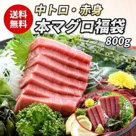 【本マグロ福袋 800g】本マグロ中トロ400g 本マグロ赤身400g 2種セット 800g 福袋 中とろ 本鮪 本マグロ マグロ 鮪 まぐろ マグロ赤身 柵 サク 冷凍 刺身 刺し身 お刺身 海鮮丼 まぐろ丼 寿司 手巻き寿司 お中元 御中元 夏ギフト 熨斗
