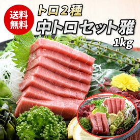 【マグロ中トロ2種セット雅 1kg】まぐろ 福袋 中とろ 本鮪 本まぐろ 本マグロ メバチマグロ メバチまぐろ バチマグロ 鮪 ブロック サク 冷凍 刺身 刺し身 お刺身 お刺し身 海鮮丼 まぐろ丼 寿司 手巻き寿司 お中元 御中元 夏ギフト 熨斗