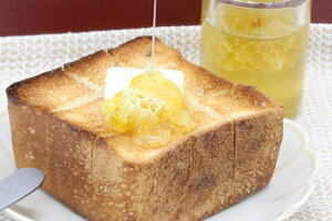 I140g ݂  Rnj[ ݂͂ I n`~c ݂͂ ݂͂ R[nj[ nj[R[ Ȋ comb honey  lC  Mtg yY v[g 