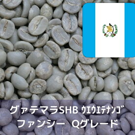 コーヒー生豆 グァテマラSHB ウエウエテナンゴ ファンシー Qグレード 1kg 送料無料 コーヒー豆 自家焙煎 ギフト お中元 ドリップ あす楽