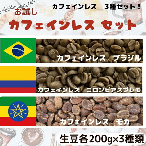 R[q[  JtFCX uW JtFCXRrAXv JtFCX J 200g×3 600g  R[q[ ݔ     p