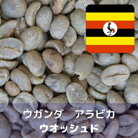 コーヒー生豆 ウガンダ アラビカ ウオッシュド 1kg 送料無料 コーヒー豆 自家焙煎 ギフト お中元 ドリップ あす楽