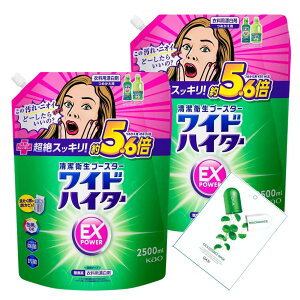 KAO ChnC^[ EXp[ ߗp Y ߂p 2500ml×2+IWietFCX}XN1t