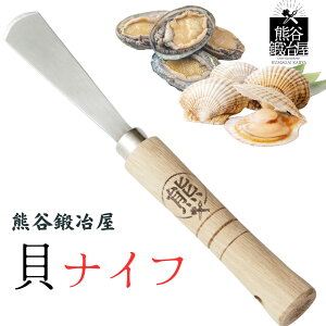 FJb艮 LiCt (iTV) { ICX^[iCt FJSH FJb艮   El VFt L z^e Ar v[g