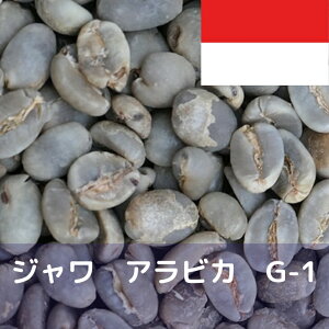 R[q[ W ArJ G-1 10kg  R[q[  Mtg  hbv