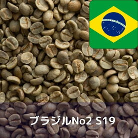 コーヒー生豆 ブラジルNo2 S19 1kg 送料無料 コーヒー豆 自家焙煎 ギフト お中元 ドリップ あす楽